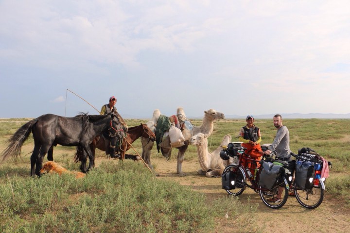 Mongolian herders on camels near gobi dessert. Cycle touring Mongolia.