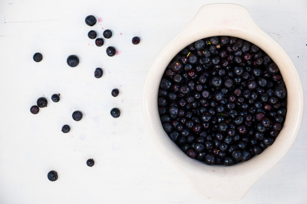 Bilberries_aboveShot