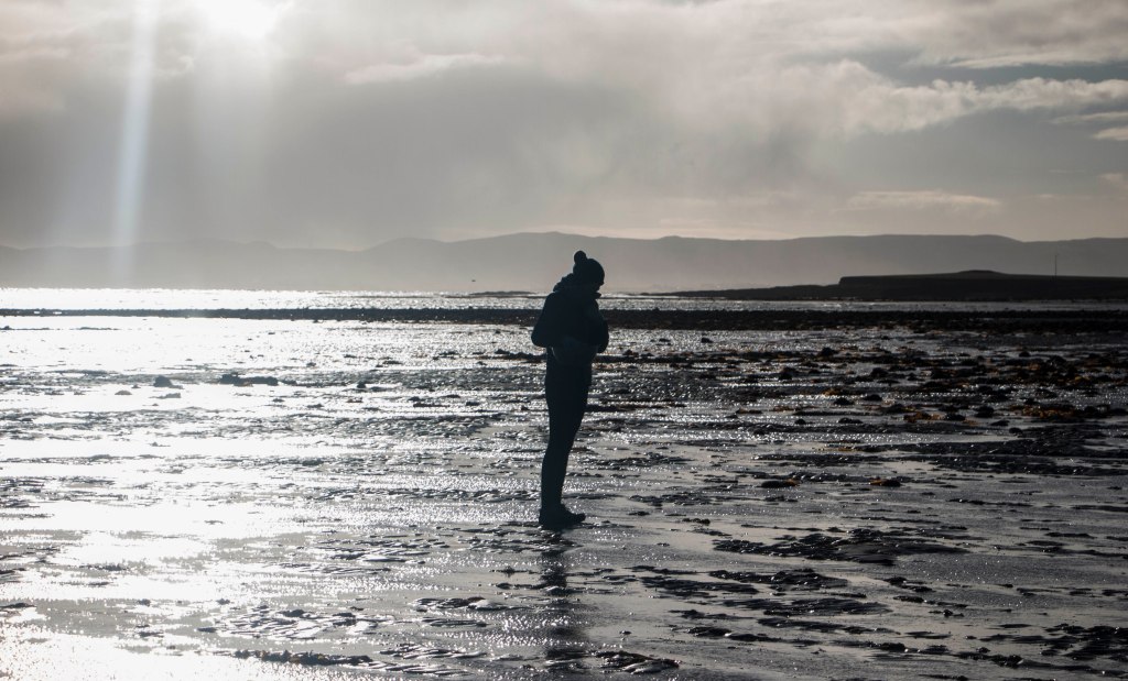 Razor Clam foraging on the Atlantic coast | Crank and Cog.