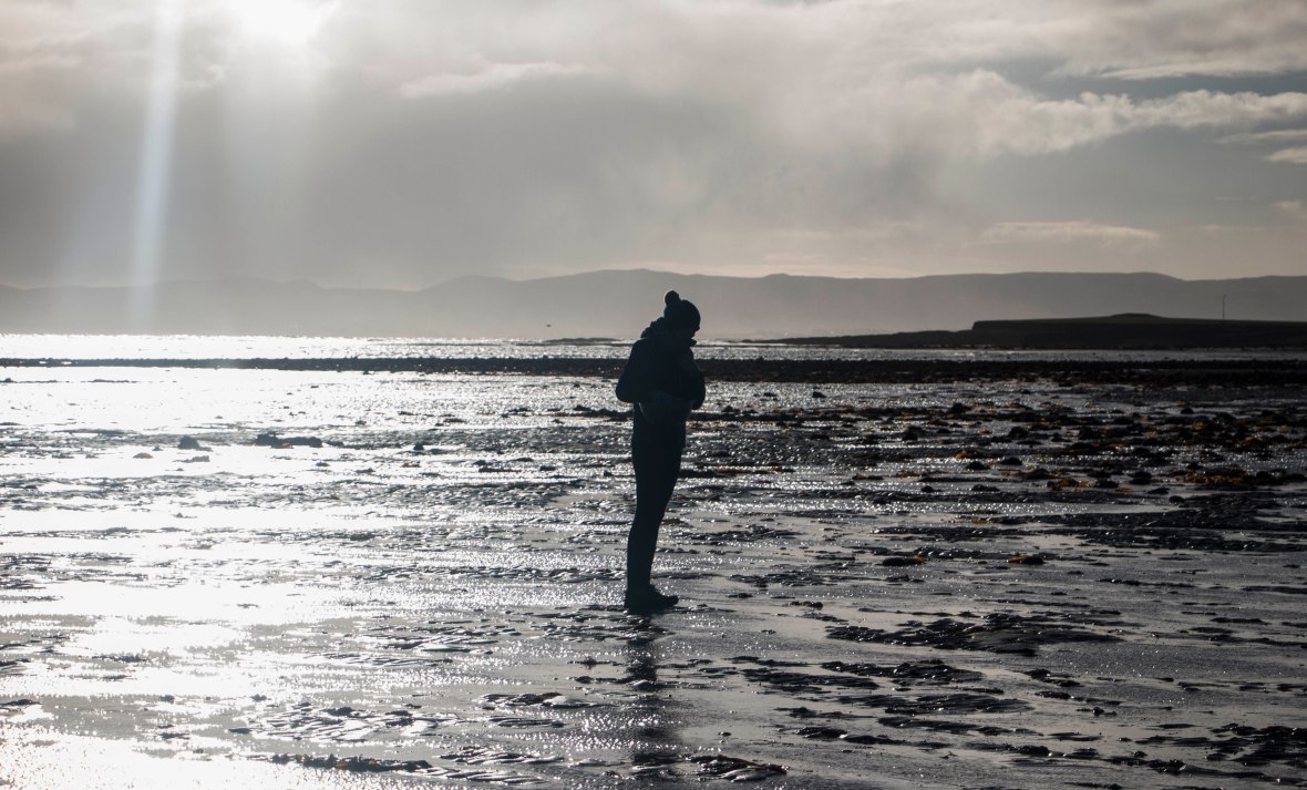 Razor Clam foraging on the Atlantic coast | Crank and Cog.