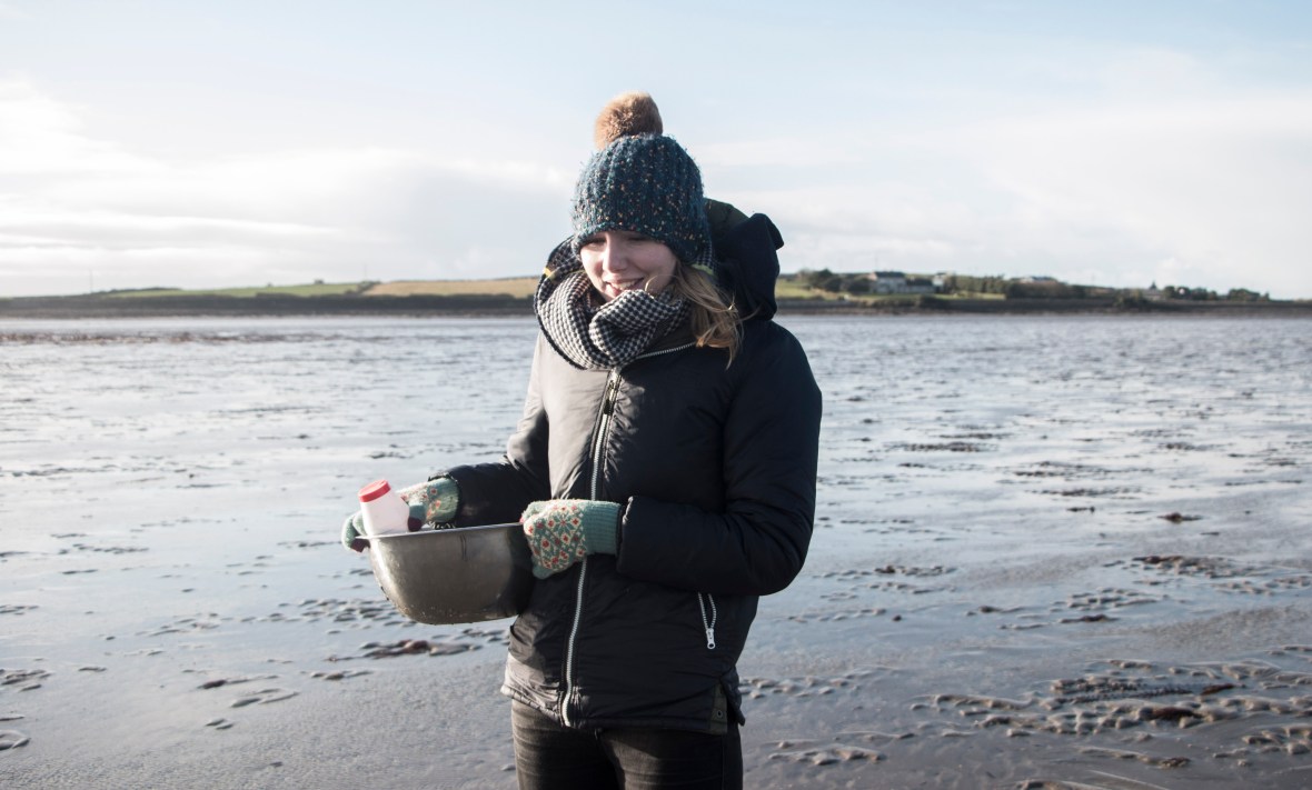 Razor Clam foraging on the Atlantic coast | Crank and Cog.
