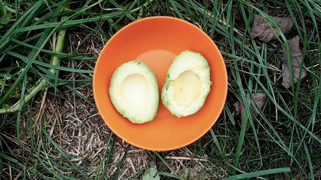 Wrap of crap Recipe. One pot hiking and cycle touring recipes. Crank and Cog.