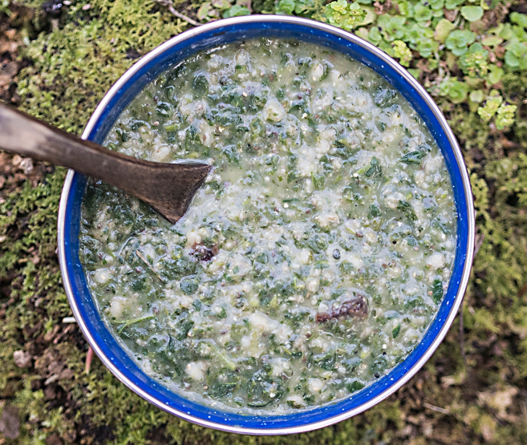 A bowl of nettle gruel | Wilding cooking with Crank and Cog
