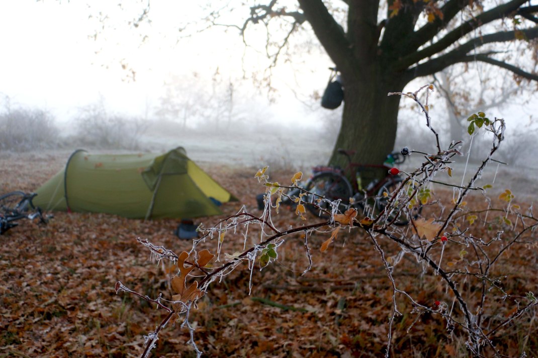 Wild camping site under a tree in the frosty morning