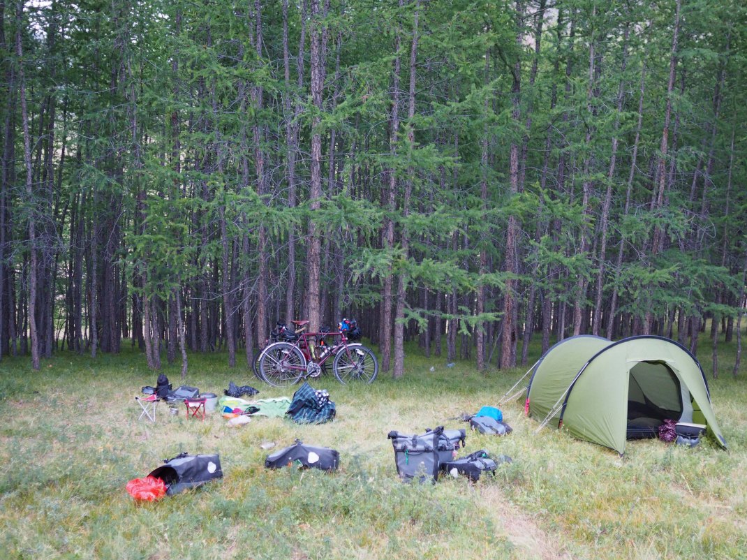 Wild camping on the edge of the woods while cycle touring.