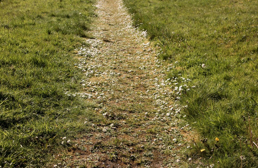 Daisy path! Bike-packing through the Ox Mountains, Sligo, Ireland, along the Wild Atlantic Way | Crank and Cog.