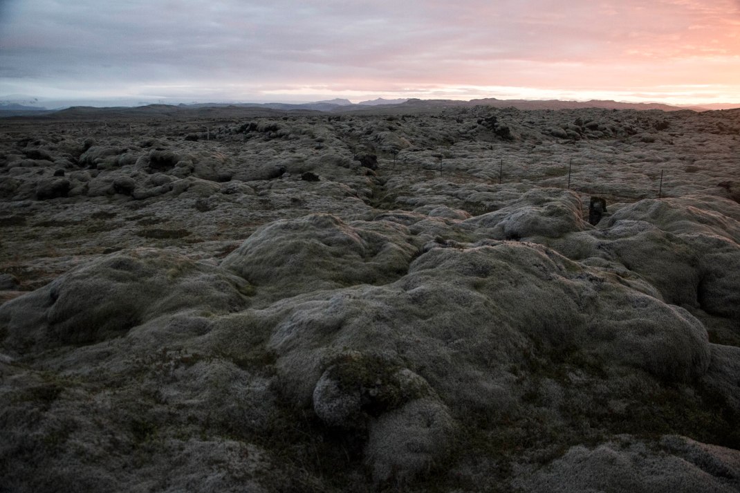 Icelandic lava field | Crank & Cog cycle tour of Iceland.