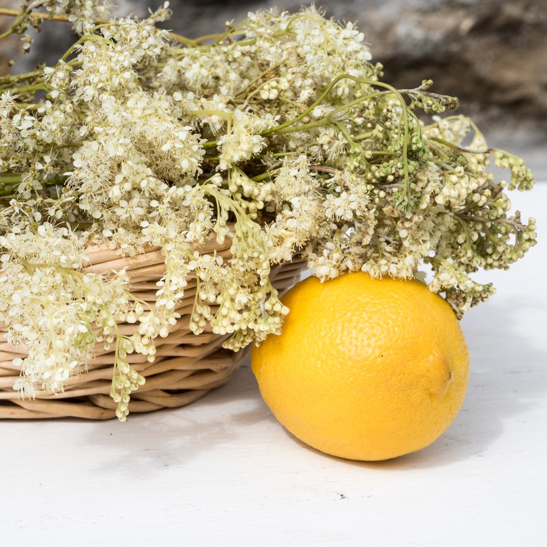 Meadowsweet lemonade | Crank & Co