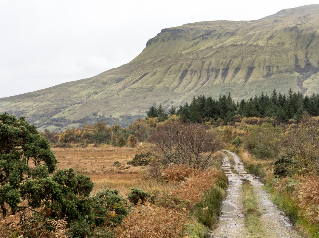 Country laneway in Leitrim, Ireland | Crank and Cog