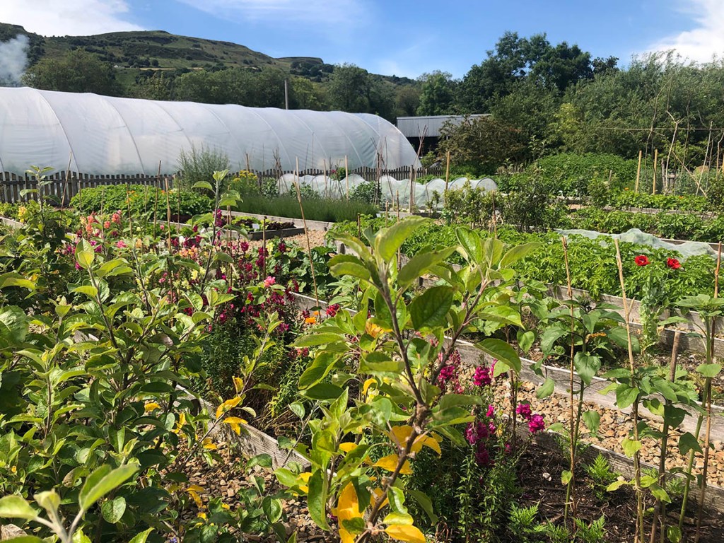 Farm to Fork Cycle - A Crank and Cog event.